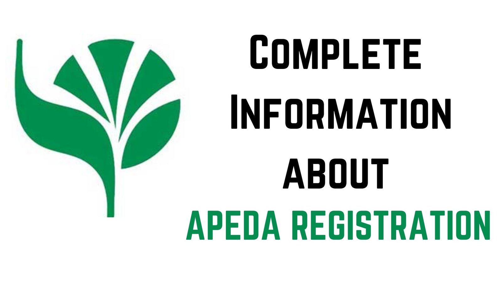 apeda registration